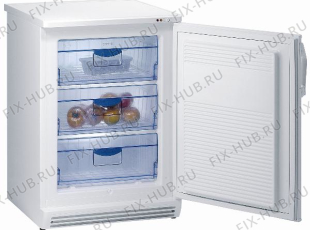 Холодильник Gorenje F6109W (315161, ZODS1066) - Фото